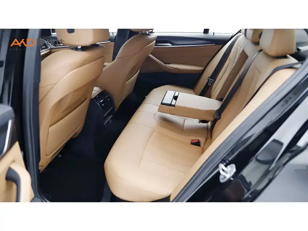 BMW 5 Series (Import) 2022 из CN, фото 6