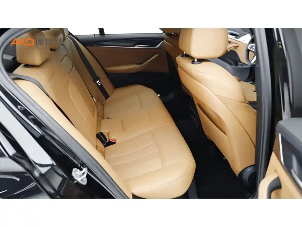 BMW 5 Series (Import) 2022 из CN, фото 3