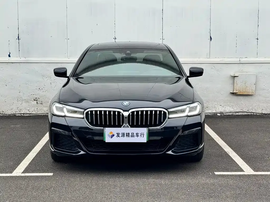 BMW 5 Series New Energy — фото 2
