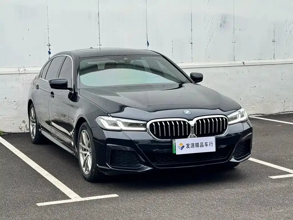 BMW 5 Series New Energy — фото 8
