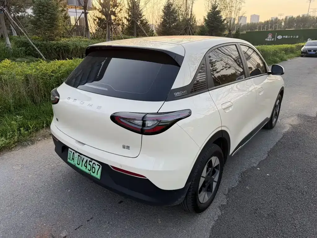 Geely Starburst — фото 7
