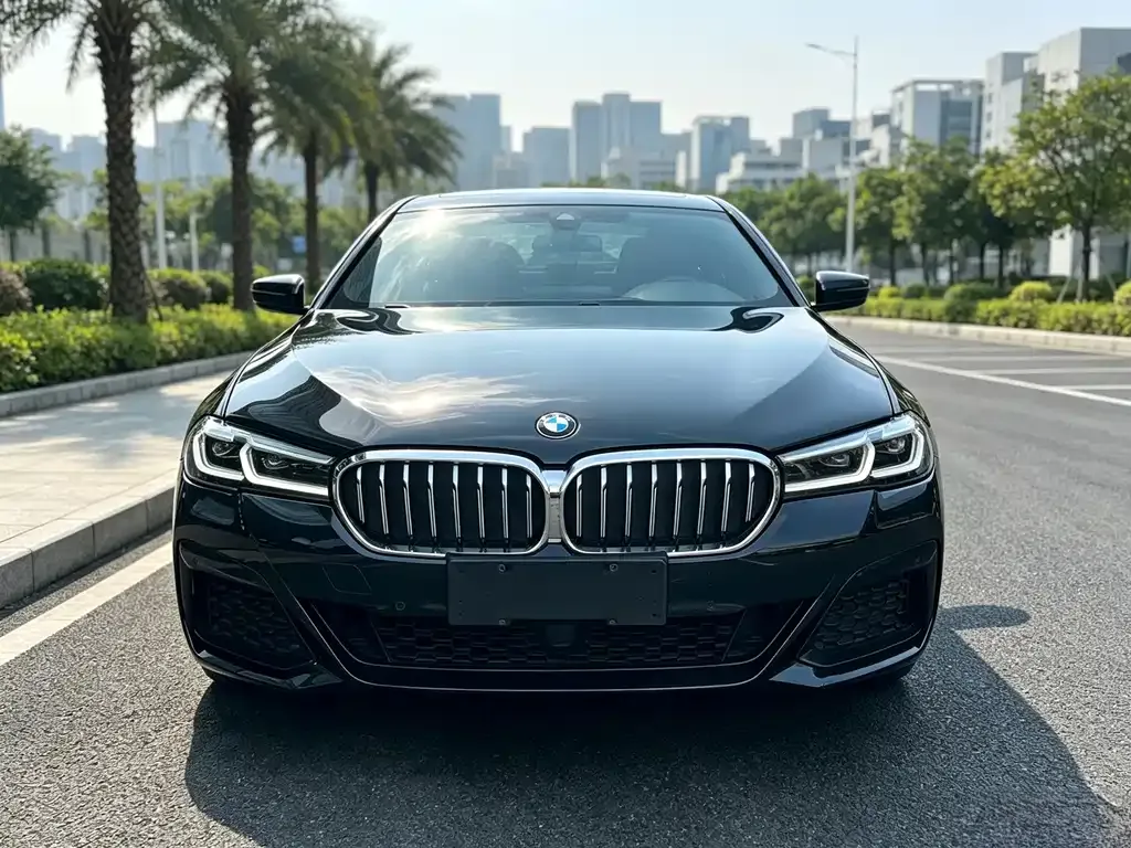 BMW 5 Series — фото 6