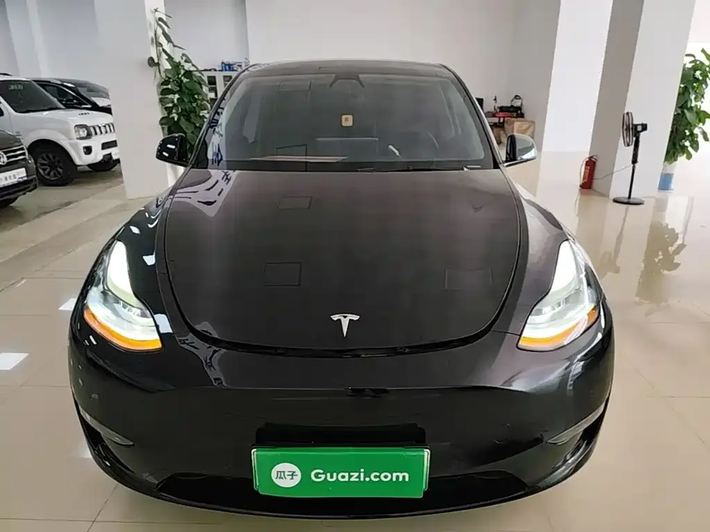 Tesla Model Y — фото 6