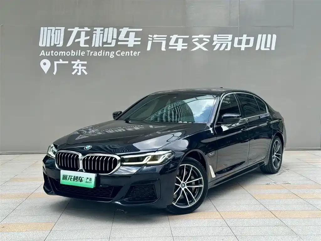 BMW 5 Series New Energy