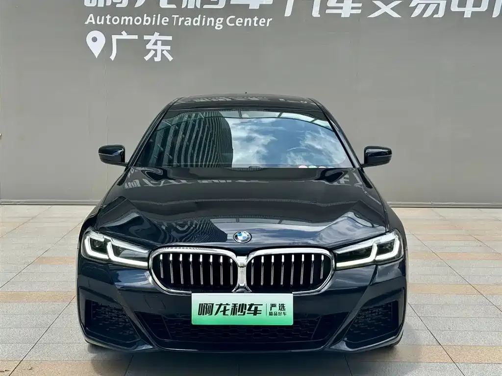 BMW 5 Series New Energy 2022 из CN, фото 7