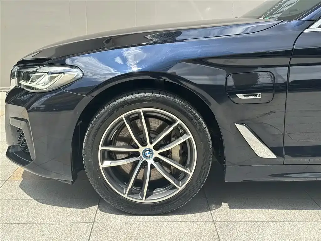 BMW 5 Series New Energy 2022 из CN, фото 8