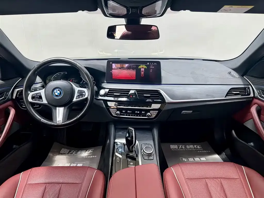 BMW 5 Series New Energy 2022 из CN, фото 6