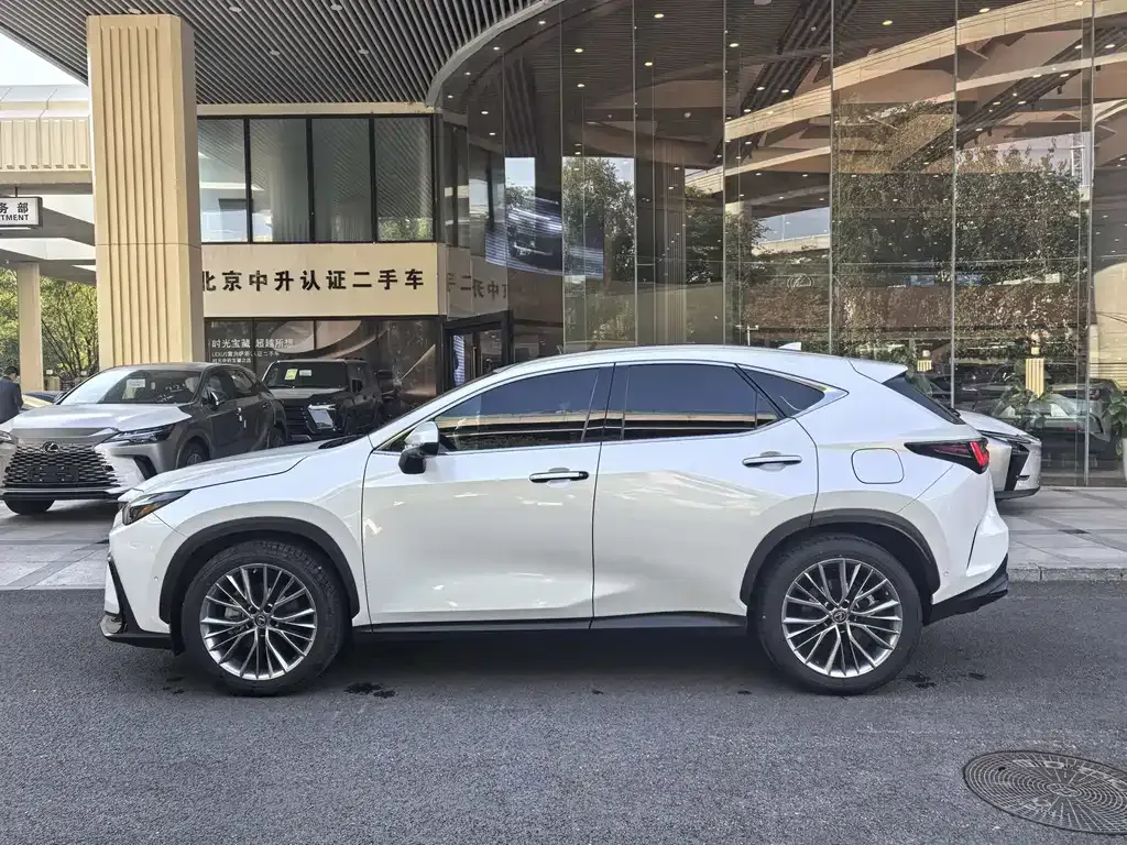 Lexus NX New Energy 2023 из CN, фото 7