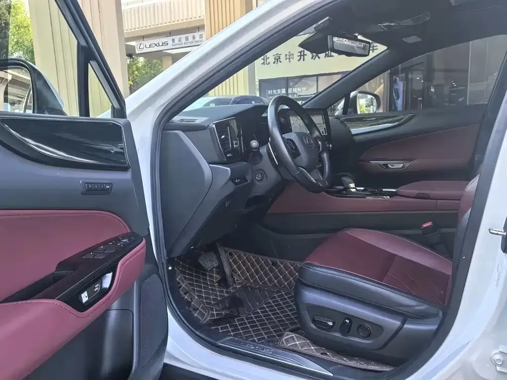 Lexus NX New Energy 2023 из CN, фото 4