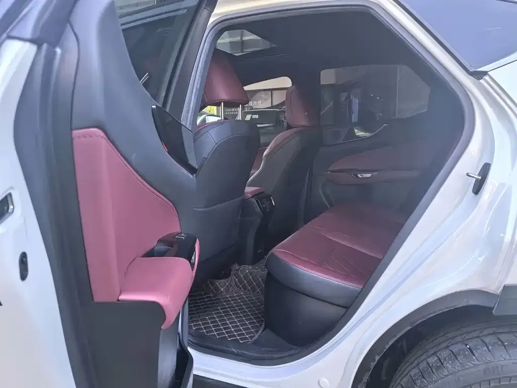 Lexus NX New Energy 2023 из CN, фото 3