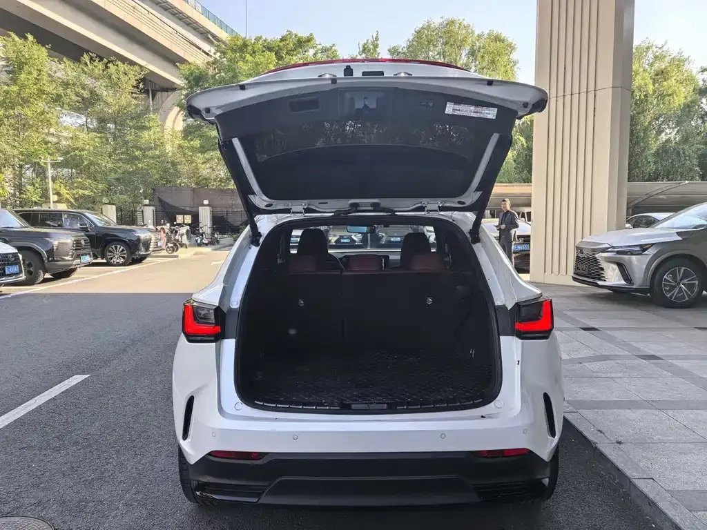 Lexus NX New Energy 2023 из CN, фото 9