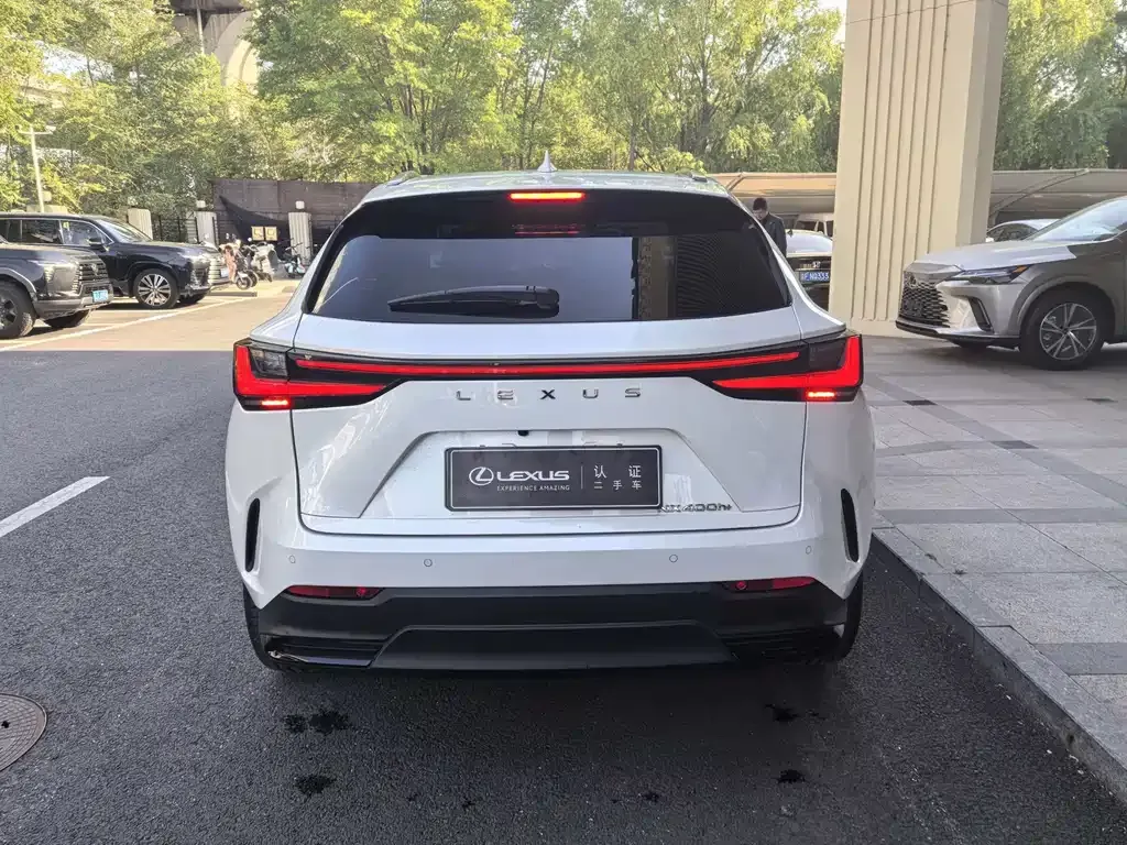 Lexus NX New Energy 2023 из CN, фото 6