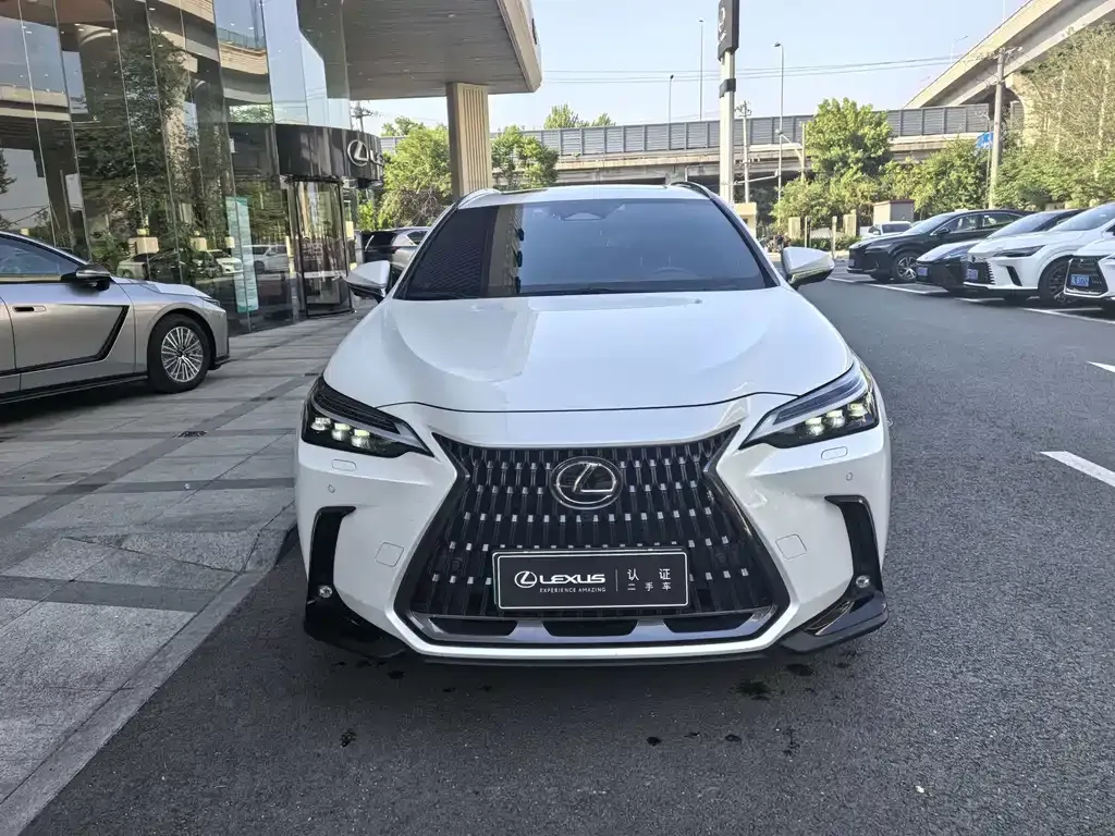 Lexus NX New Energy 2023 из CN, фото 8