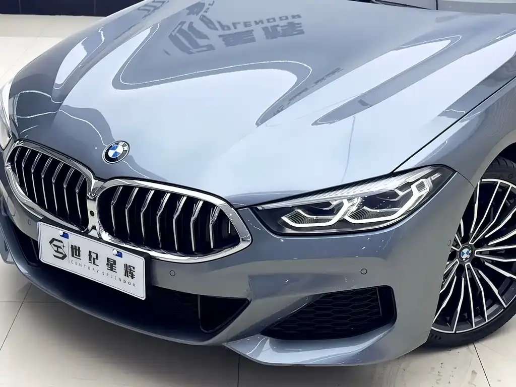 BMW 8 Series — фото 6