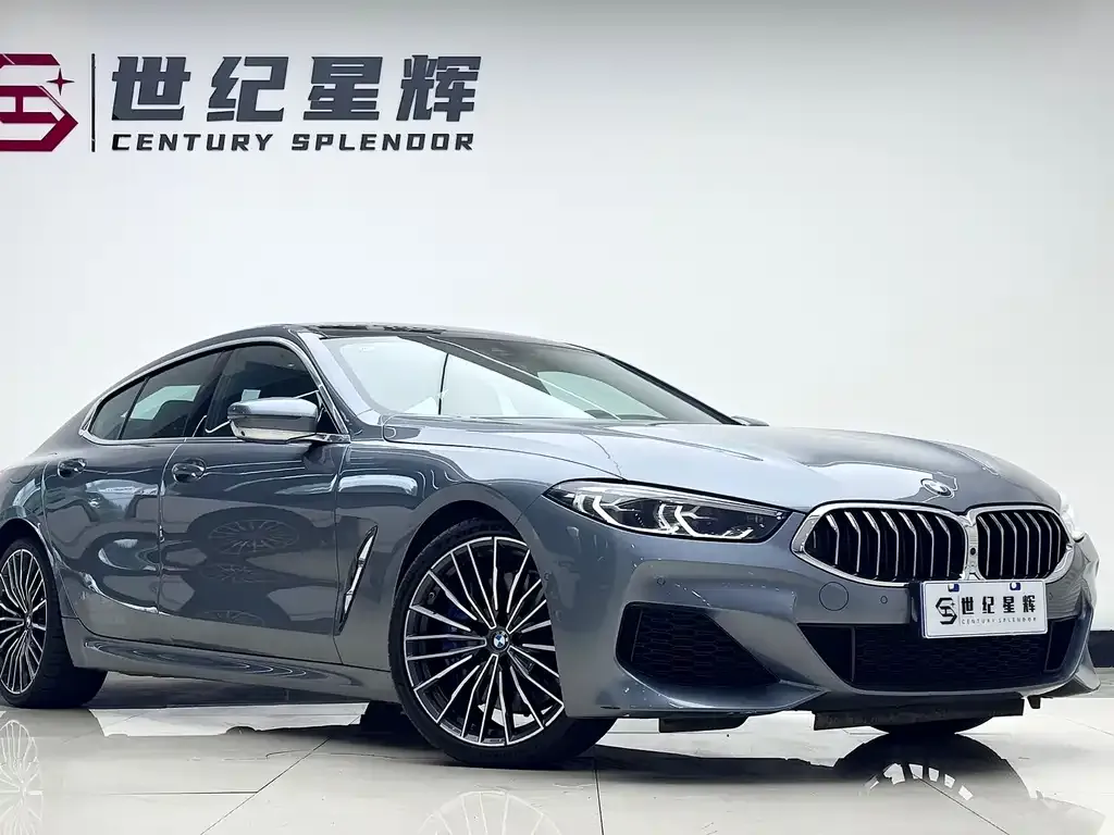 BMW 8 Series — фото 8