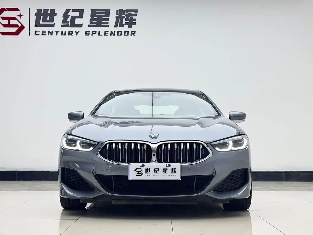BMW 8 Series — фото 5