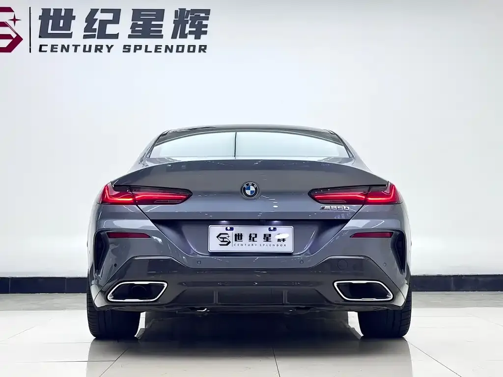 BMW 8 Series — фото 4