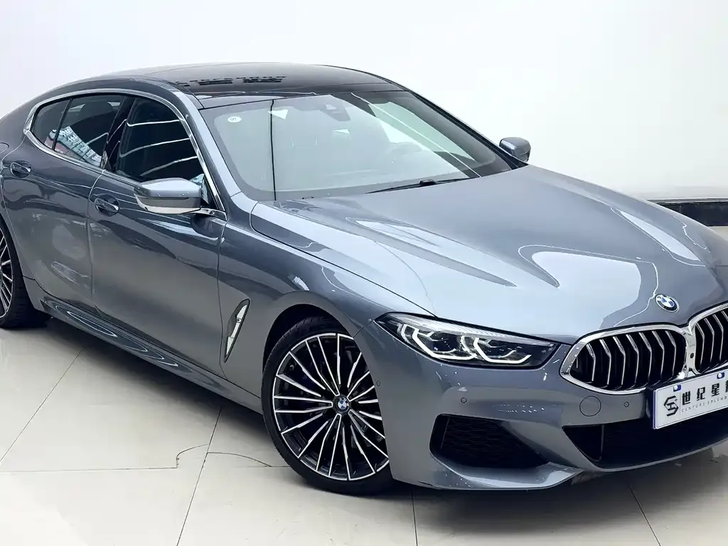 BMW 8 Series — фото 10