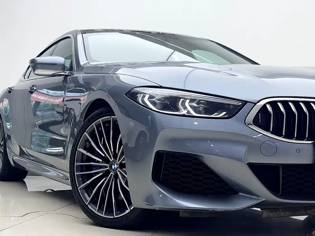 BMW 8 Series — фото 9