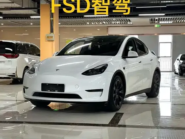 Tesla Model Y — фото 1