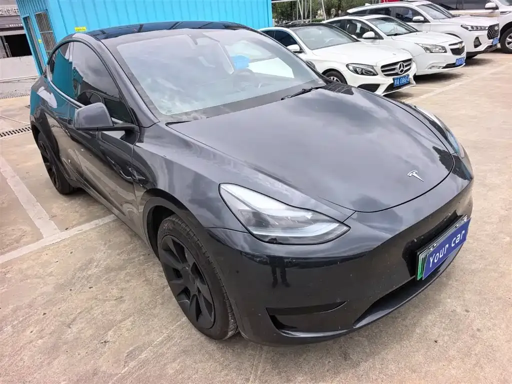 Tesla Model Y — фото 7