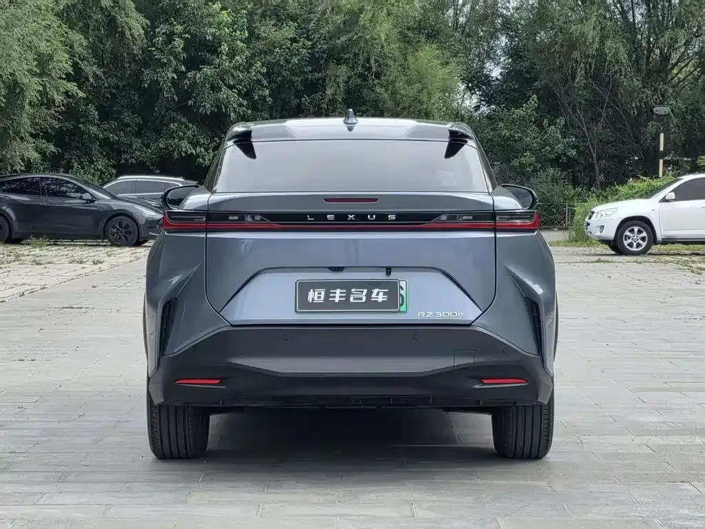 Lexus RZ — фото 6