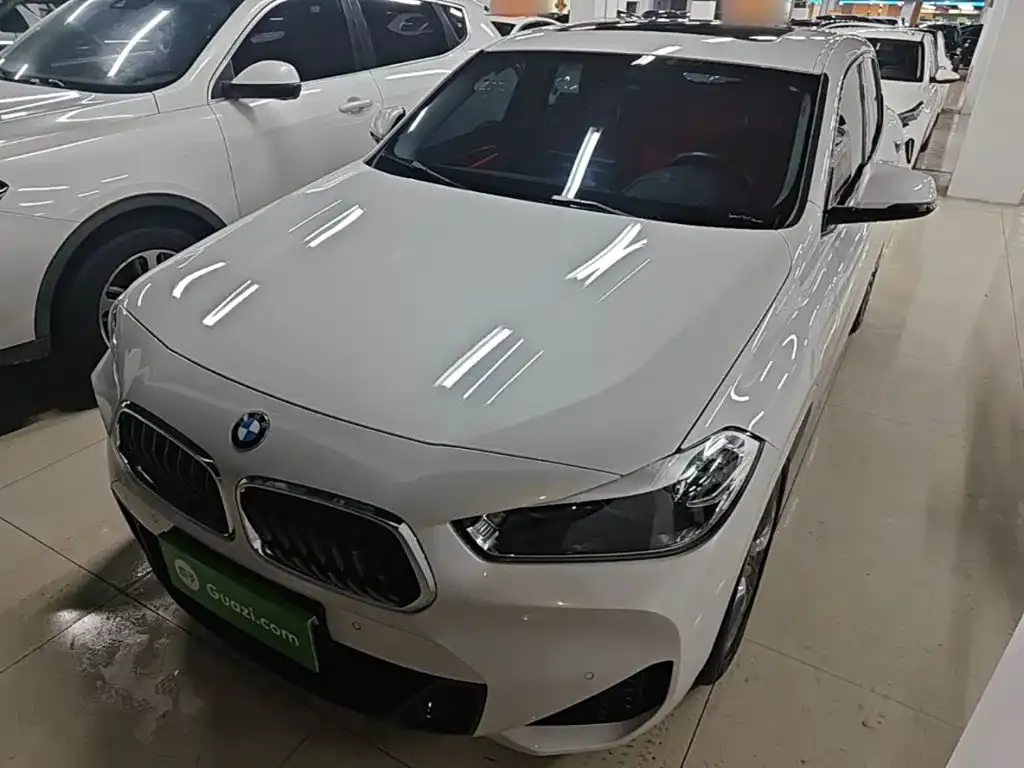 BMW X2 — фото 1