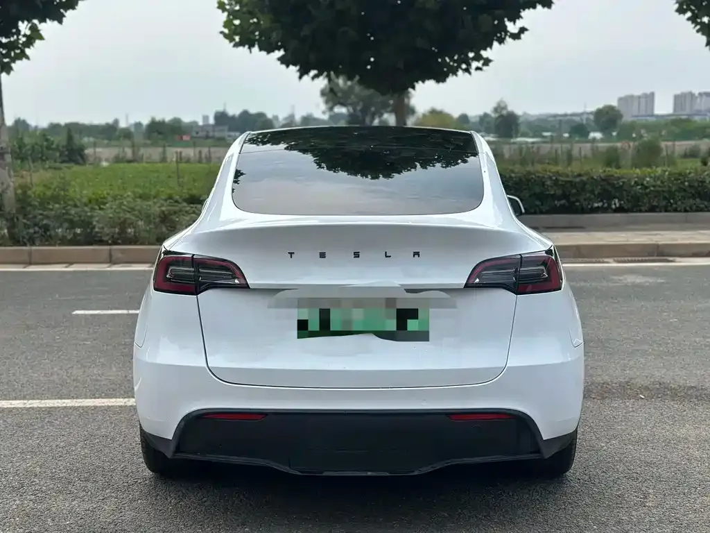 Tesla Model Y — фото 4