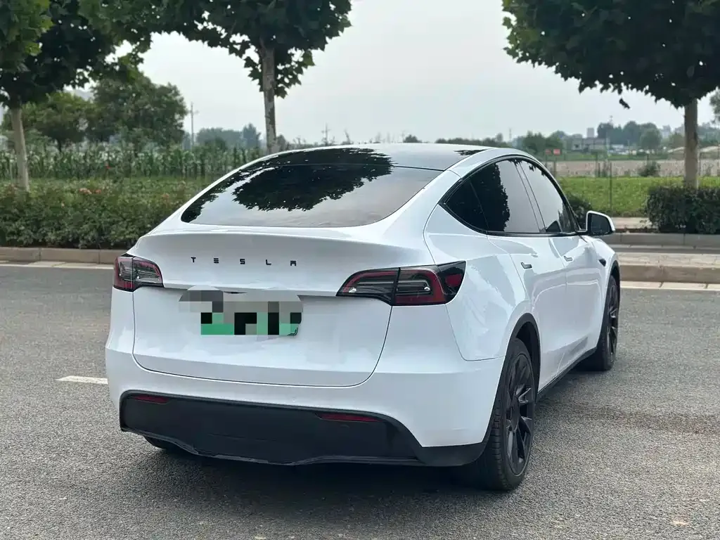 Tesla Model Y — фото 9