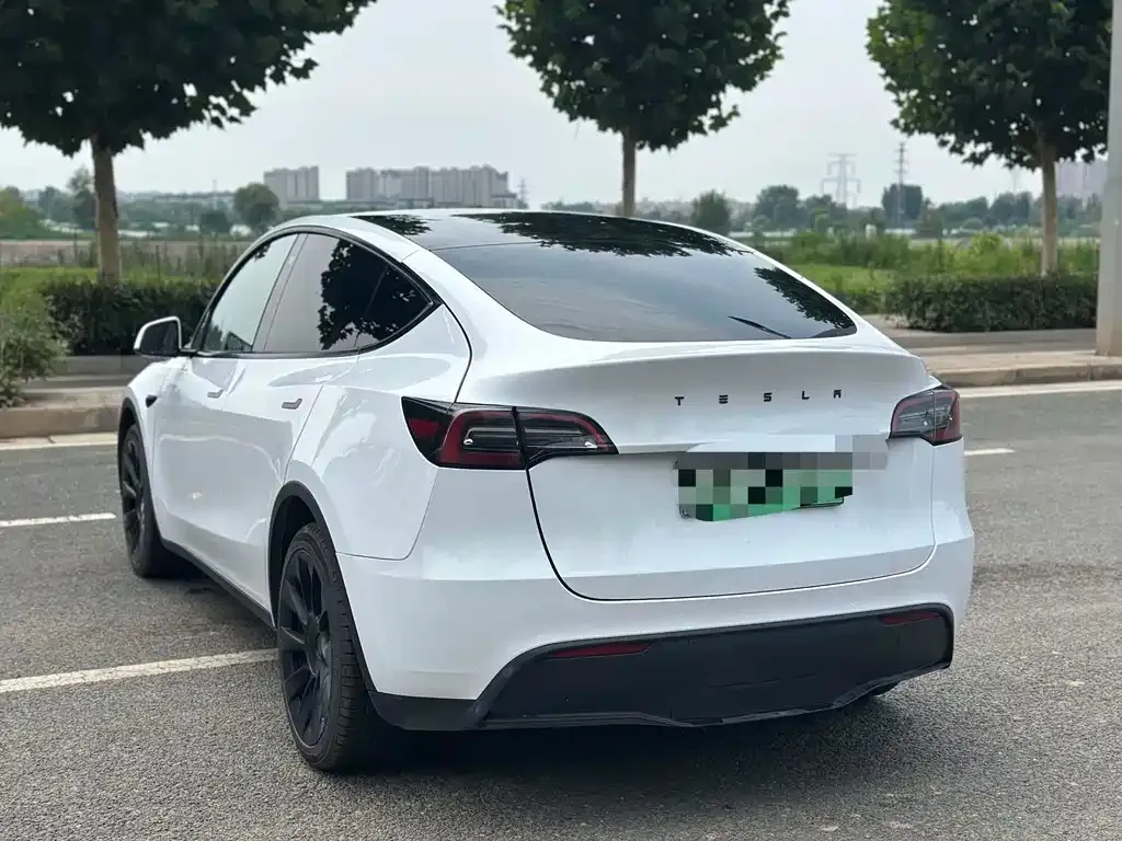 Tesla Model Y — фото 2
