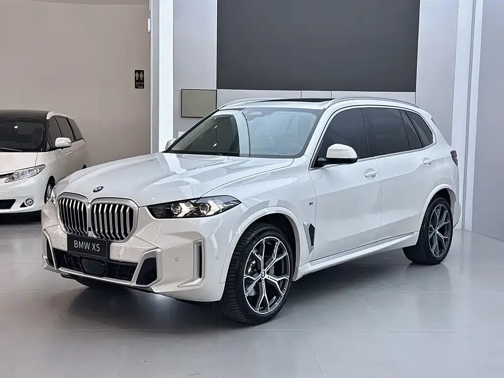 BMW X5 — фото 1
