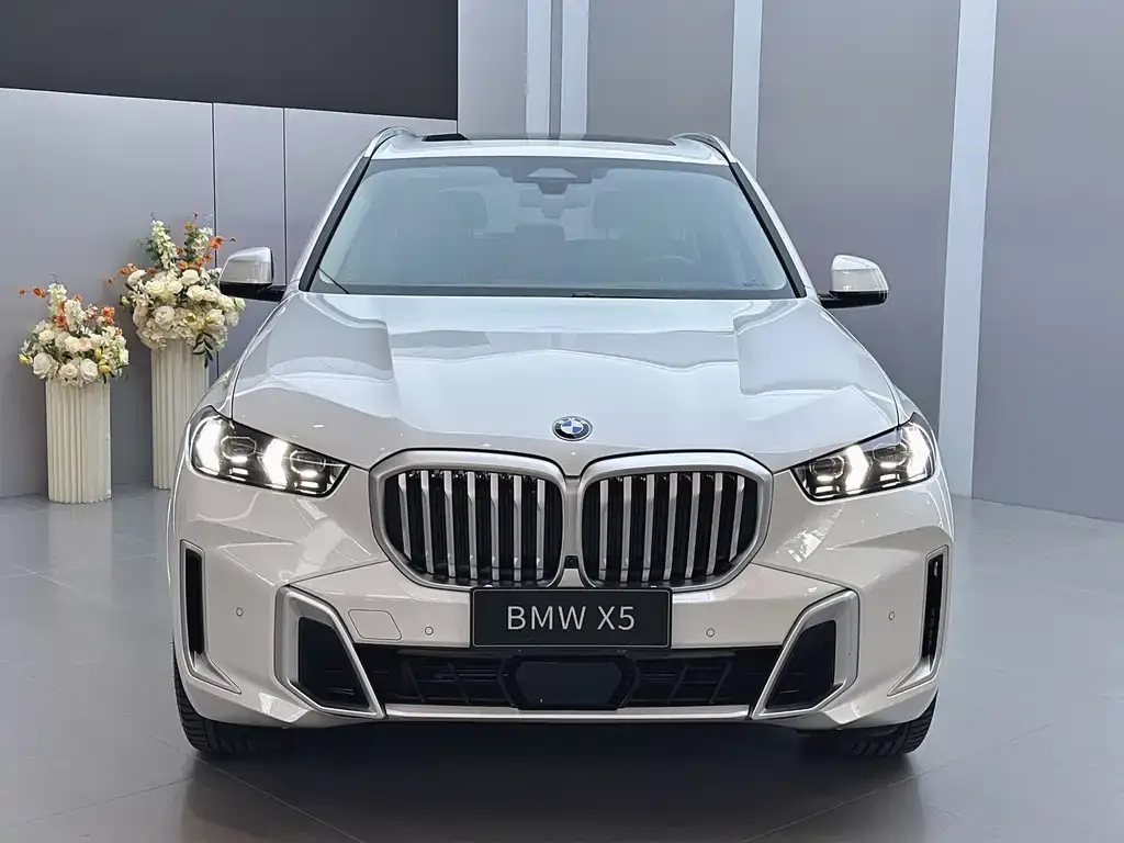 BMW X5 — фото 10