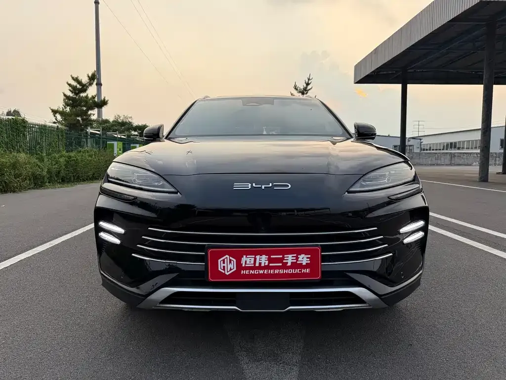 BYD PLUS New Energy — фото 3