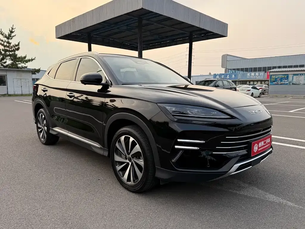 BYD PLUS New Energy — фото 8