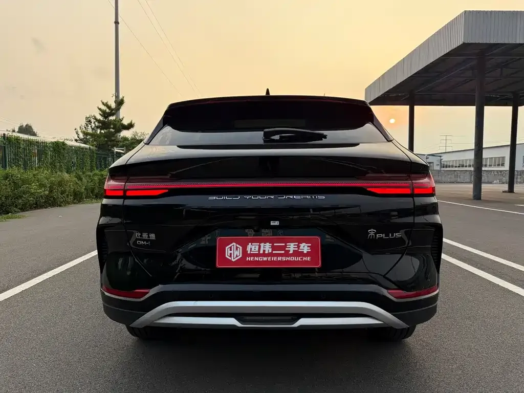 BYD PLUS New Energy — фото 2