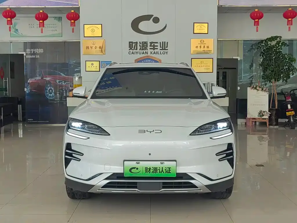 BYD PLUS New Energy — фото 2