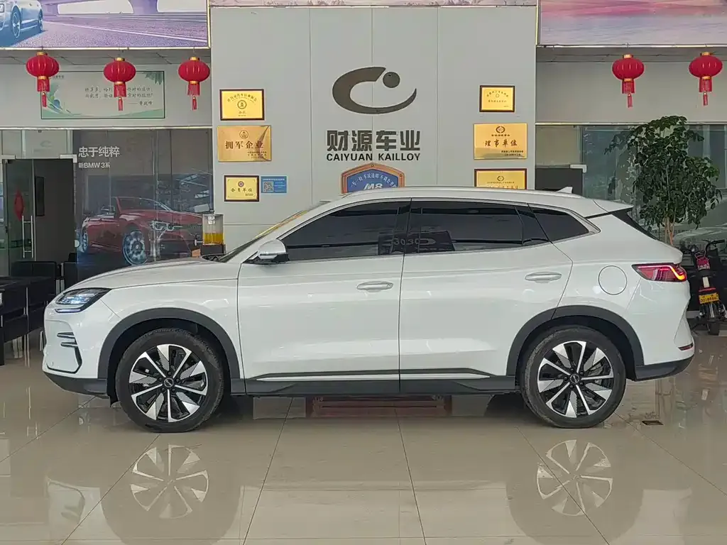 BYD PLUS New Energy — фото 3