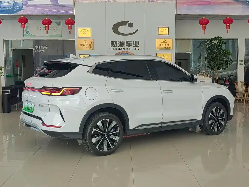 BYD PLUS New Energy — фото 8