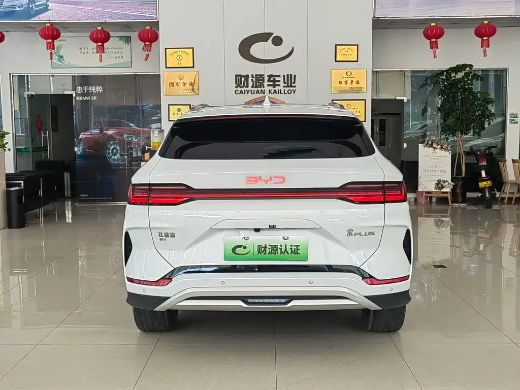 BYD PLUS New Energy — фото 4