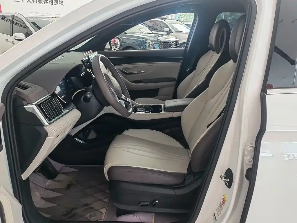 BYD PLUS New Energy — фото 10