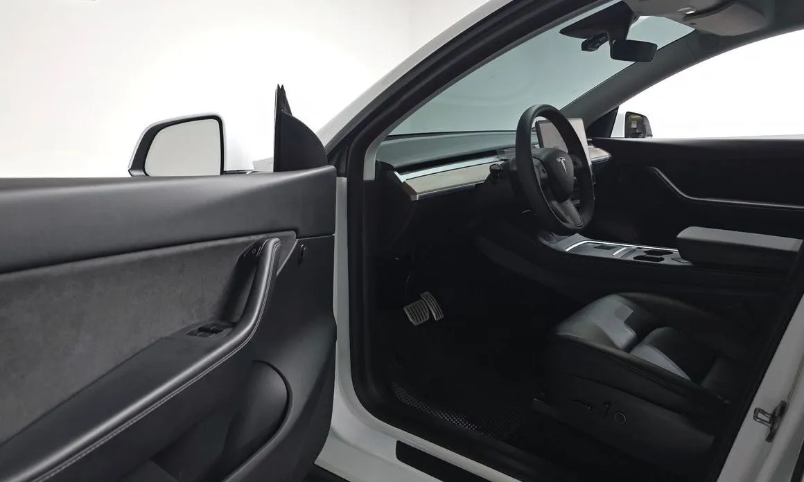 Tesla Model Y 2021 из KR, фото 9