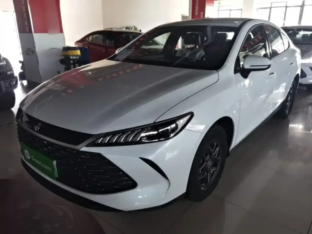 BYD Qin PLUS — фото 2