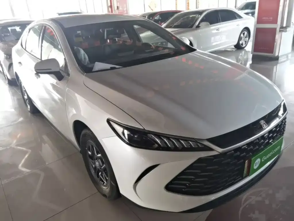 BYD Qin PLUS — фото 3