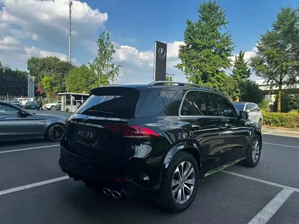 Mercedes-Benz 奔驰GLE(进口) — фото 7