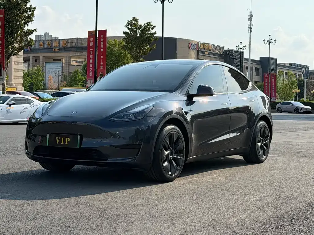 Tesla Model Y — фото 1