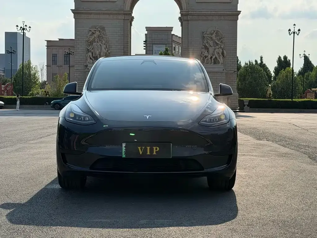 Tesla Model Y — фото 7