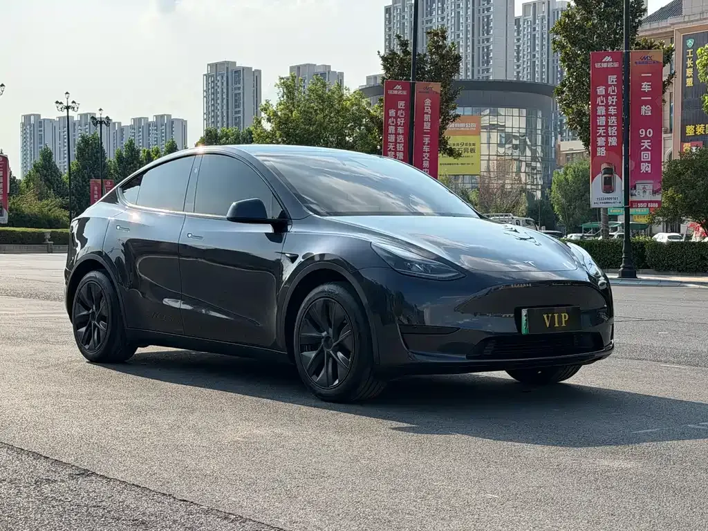 Tesla Model Y — фото 9
