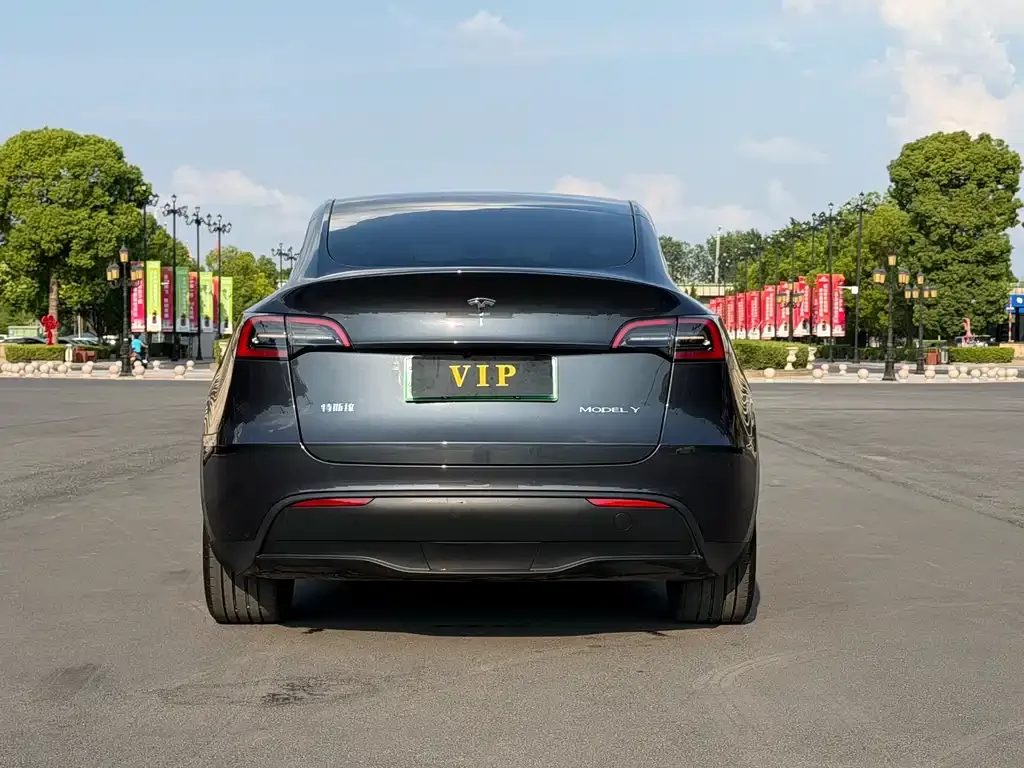 Tesla Model Y — фото 8