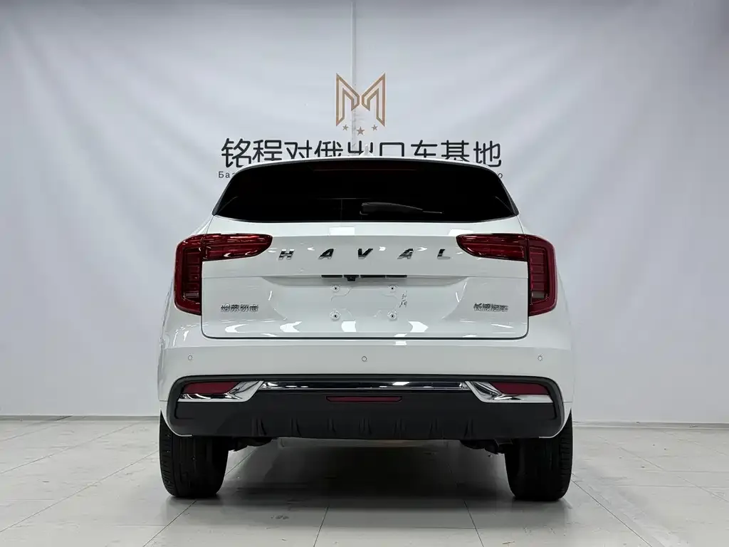 Haval Chulian 2021 из CN, фото 2