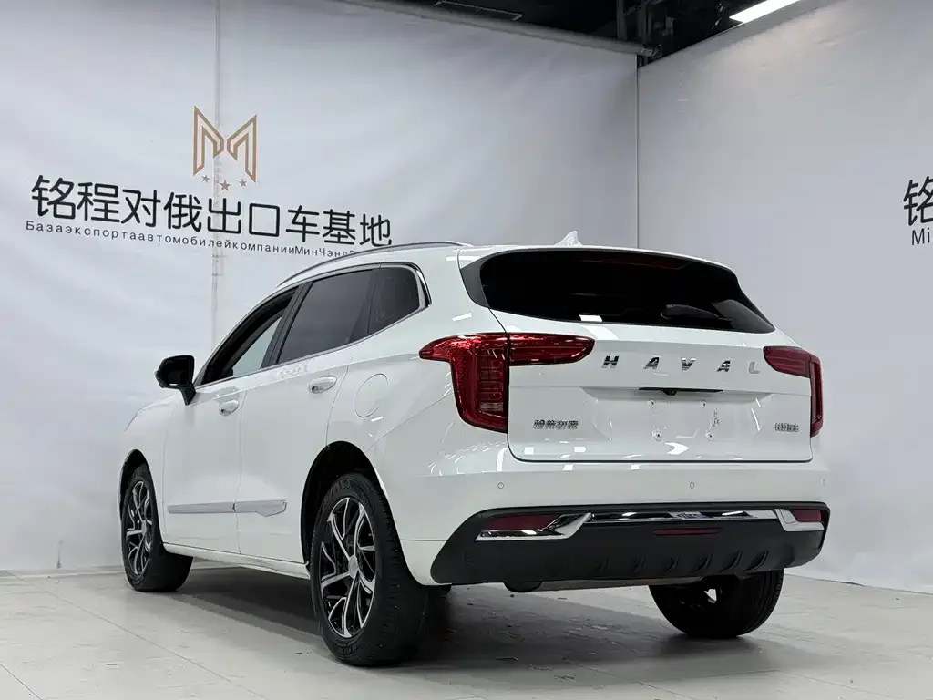 Haval Chulian 2021 из CN, фото 3